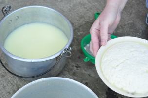 making cheese