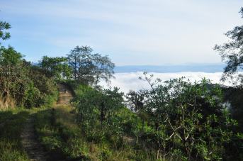 motorbike road and cloud forest