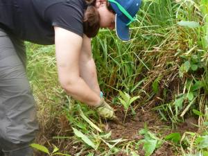 RMV volunteer tree planting