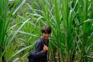 77CFC4E4-8910-45FC-A4C3-472FFE059BB5